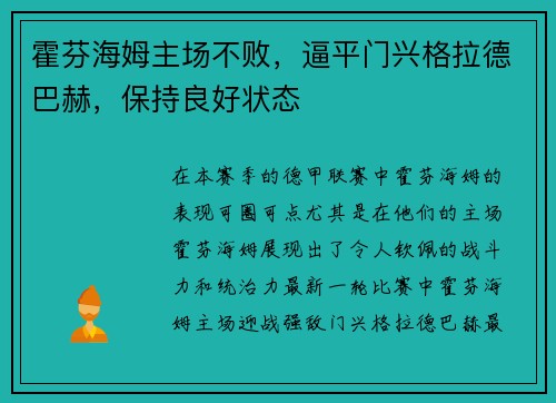 霍芬海姆主场不败，逼平门兴格拉德巴赫，保持良好状态